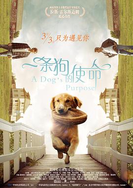 刑警队长爱上男警察小说