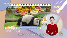 埃贝尔问卷